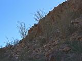 A Anza Borrego Desert 016